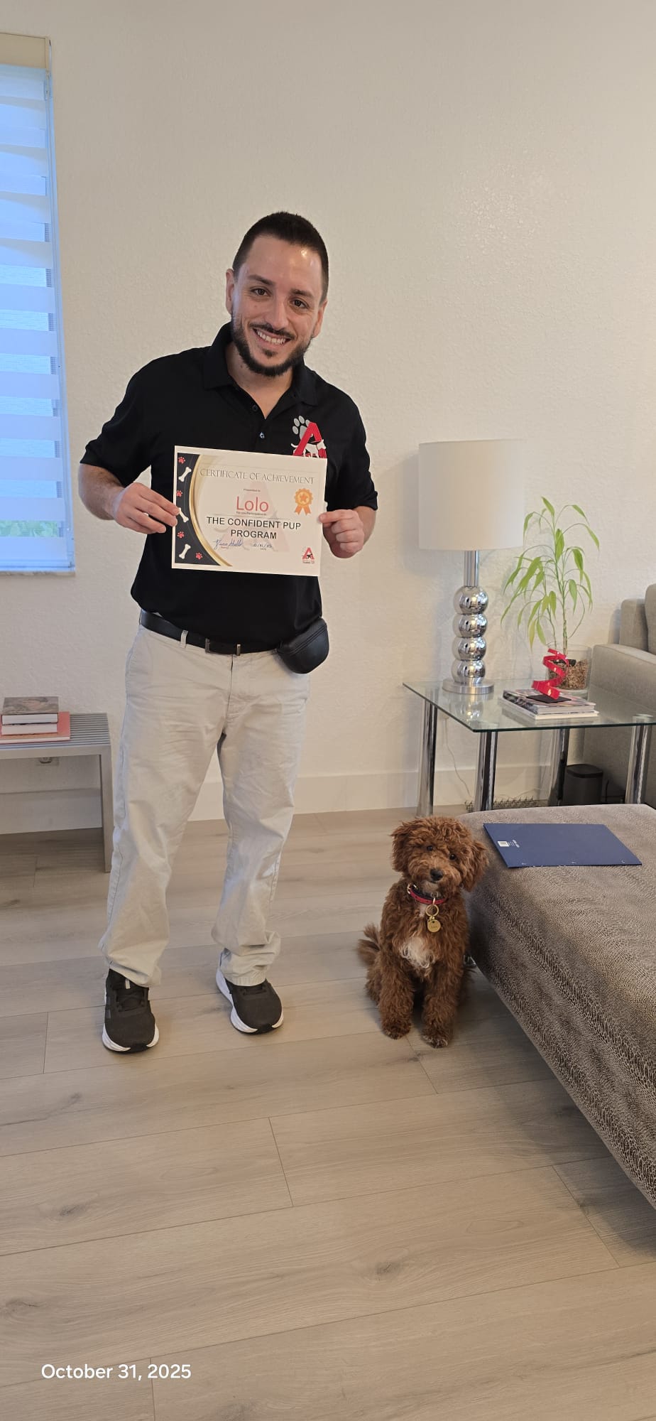 Trainer holding Lolo's puppy training certificate next to a small poodle sitting politely.